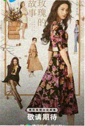 长夜星河录古装权谋剧在线观看